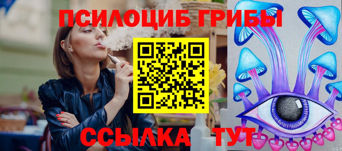 Галлюциногенные грибы Psilocybe Тельмана